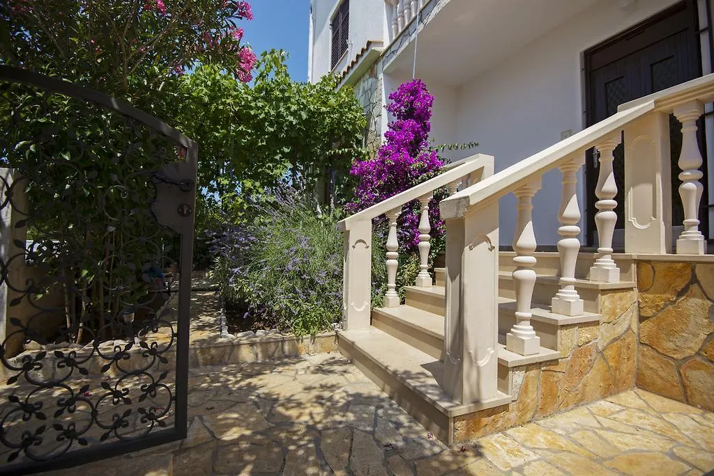 Apartments Petrcane Welcome 0*,  Croatia